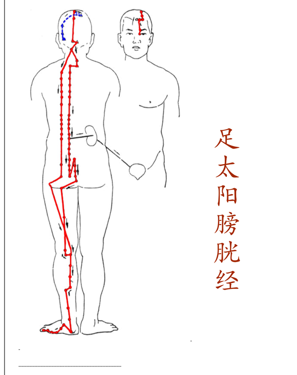 十二经络